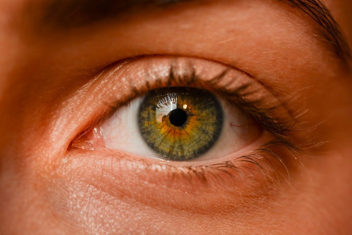 Oczy to charakterystyczny organ. To właśnie dzięki nim widzimy.